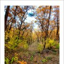 치악산둘레길 5코스 서마니강변길 이미지