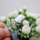 에뉴뷰 홀릭 7 EGF 피부 수분 재생 시카 크림 50g / 병풀(시카)추출물의 20대 피부 세포 재생 주기의...