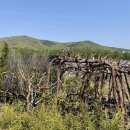 대림가든 이미지