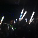 토토즐 댄스 이미지