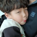 목동 소나무향기 태권도 이미지