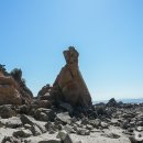 별자리 호스텔 이미지