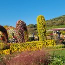 제2종근린생활시설(양재동 4-3) | 제1종근린생활시설과 제2종근린생활시설에 따른 용도분류 정리편 중 제1종근린생활시설