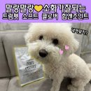 인터펫양재점 | 말랑말랑해서 소화 잘되는 강아지 사료 추천! (관절에 좋은 대관령 황태🐟 첨가)