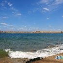 오포해수욕장 이미지