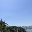 울산 ｜인더썬, 대게일번지 횟집