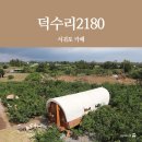 [서귀포 카페] 카페덕수리2180 : 안덕 감귤밭 카페