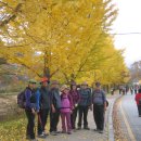 덕유산 가을여행 4 (무주구천동계곡입구~전주 식당~교회도착) 이미지