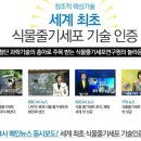 초록화장품