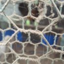 고천농장 이미지