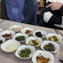 신호등회관 | 겨울 진도여행 | 진도 맛집 이화식당 , 신호등회관 내돈내산 후기 ! 진도 허영만 맛집