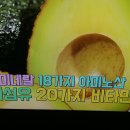 어려지고 싶다면 에스트로겐을 깨워라/혈관건강 아보카도오일/기치유센터 이미지