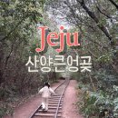 산양 | 제주 산양큰엉곶 방문 후기, 7살 아이도 걷기 좋은 숲길 코스