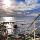 더블유케이몰 | 코타키나발루 여행 준비 내가 가려고 만든 맛집 리스트