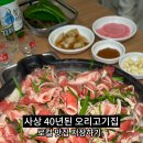 평강오리 이미지