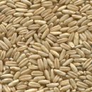 남양주나무요양병원 이미지