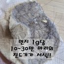 삼촌아홈케어