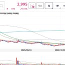 스킨N스칼프 이미지