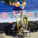 제13회 대구신천초등학교 총동창회 체육대회 이미지