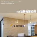 늘봄동물병원 이미지