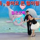 댄스댄스 스포츠댄스 이미지