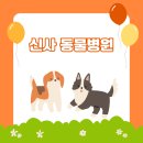 신사동물병원 | 신사동물병원 건강검진 가이드, 우리 아이 처음이시라면 반드시 알아두셔야 할 내용들