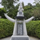 제1회 신채호 마라톤 대회(뿌리공원) 이미지