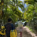 파라다이스 코브 이미지