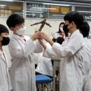 경대사범대부설초등학교 이미지