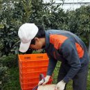 태연2농장 이미지