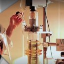 세모스쿠알렌 이미지