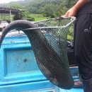 전곡낚시터 이미지