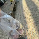 성진이앤티 | 낭만은 비효율