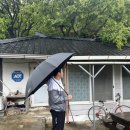 [속보] 가수님 생가 화재 관련 안내 이미지