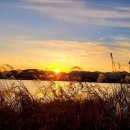 K행정사 이미지