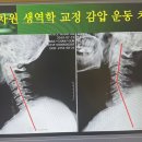 [퇴근길] 직장인통증관리 | 선릉도수치료 직장인 목 통증 관리 후기