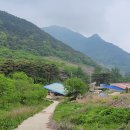 느재농장 이미지