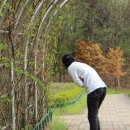 원당약수터 이미지