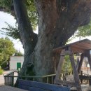 원용복마을 이미지