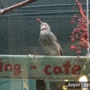 바이오공인중개사사무소 이미지