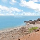 카우스톨 이미지