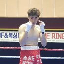 포항권투 최우식 복싱입문 4개월 만에 TKO승으로 프로테스트 통과 이미지