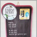 이수미팜베리