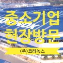 (주)코리녹스