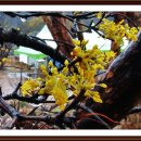 백산마을 이미지