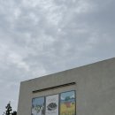 제주기억 | 제주 조천 카페 귤밭 캠핑 감성 선흘 집나간거북이