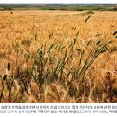 시온수입품 | 교리와 성약 읽기 모임 자료-85~87편