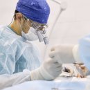 갑상선암 바로 알기 이미지