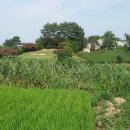 산외면~종산리 이미지