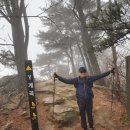 도봉-도봉-2119 이미지